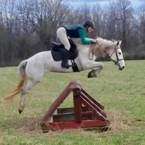 Meet your Posher, Alex